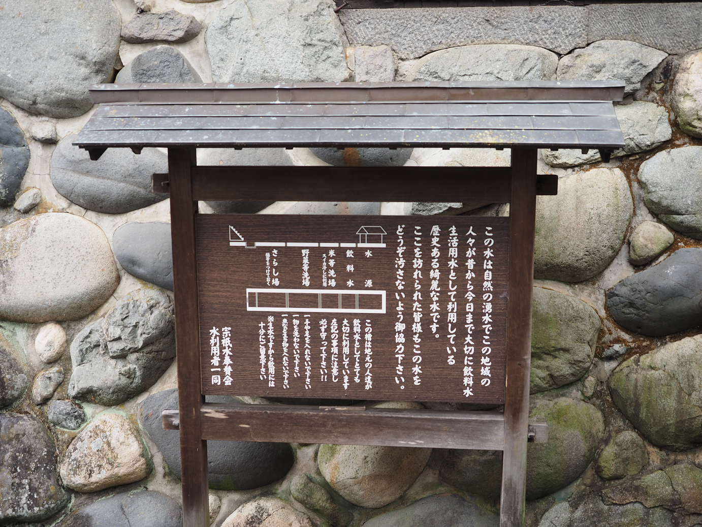 P7160863.jpg