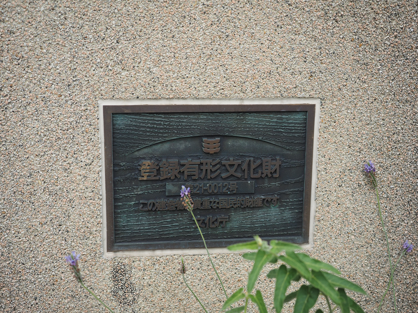 P7161106.jpg