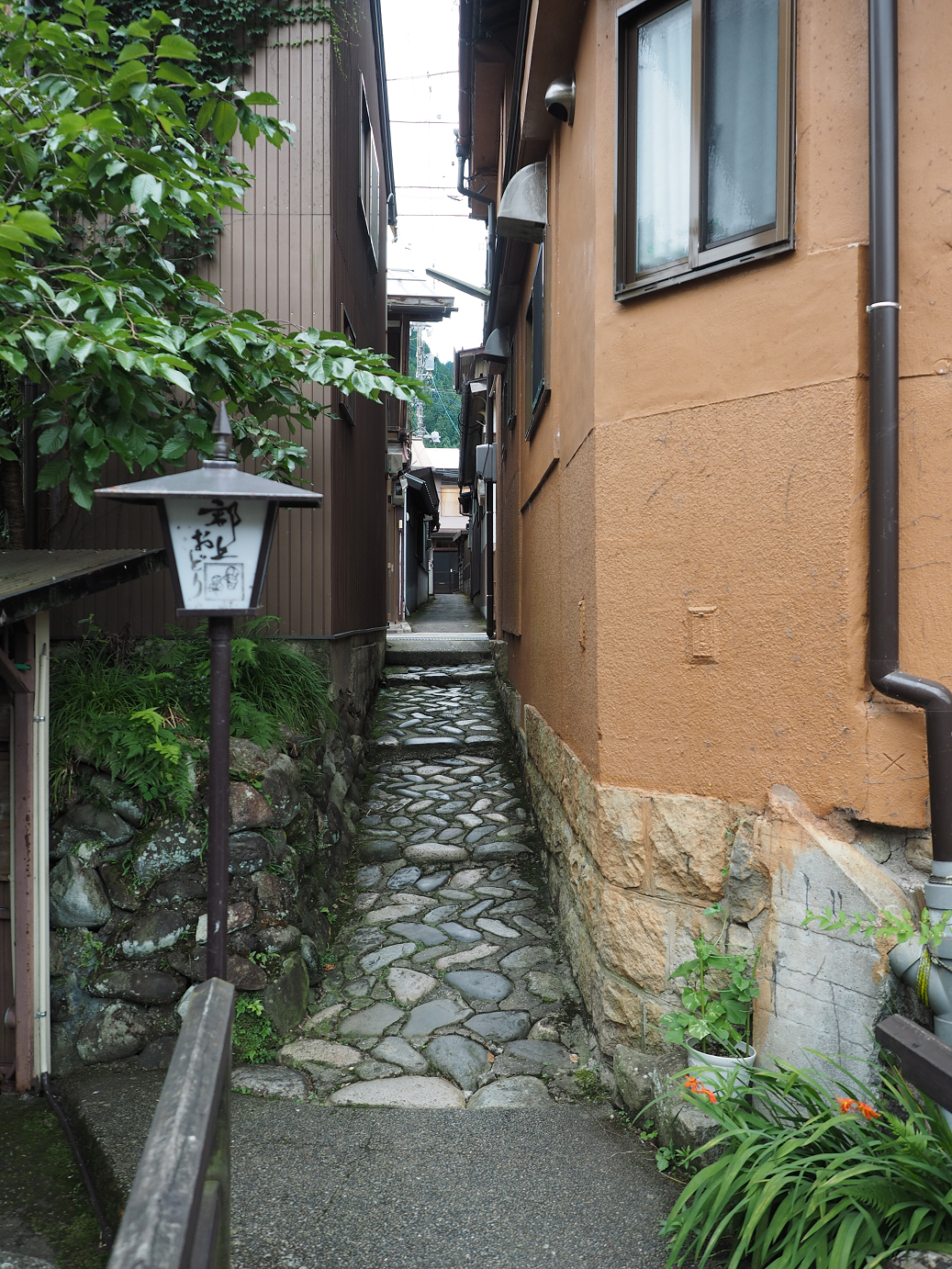 P7161157.jpg