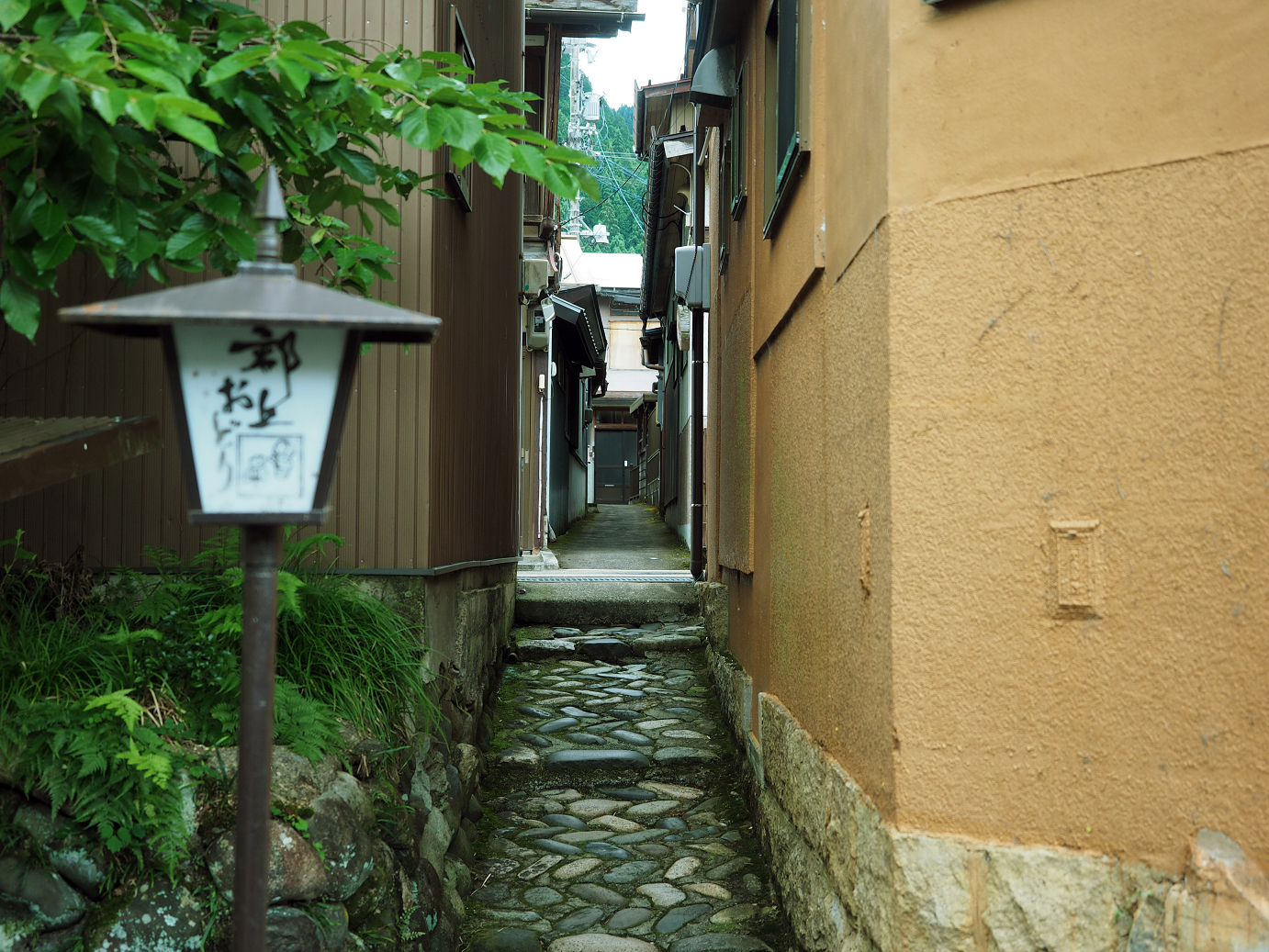 P7161159.jpg