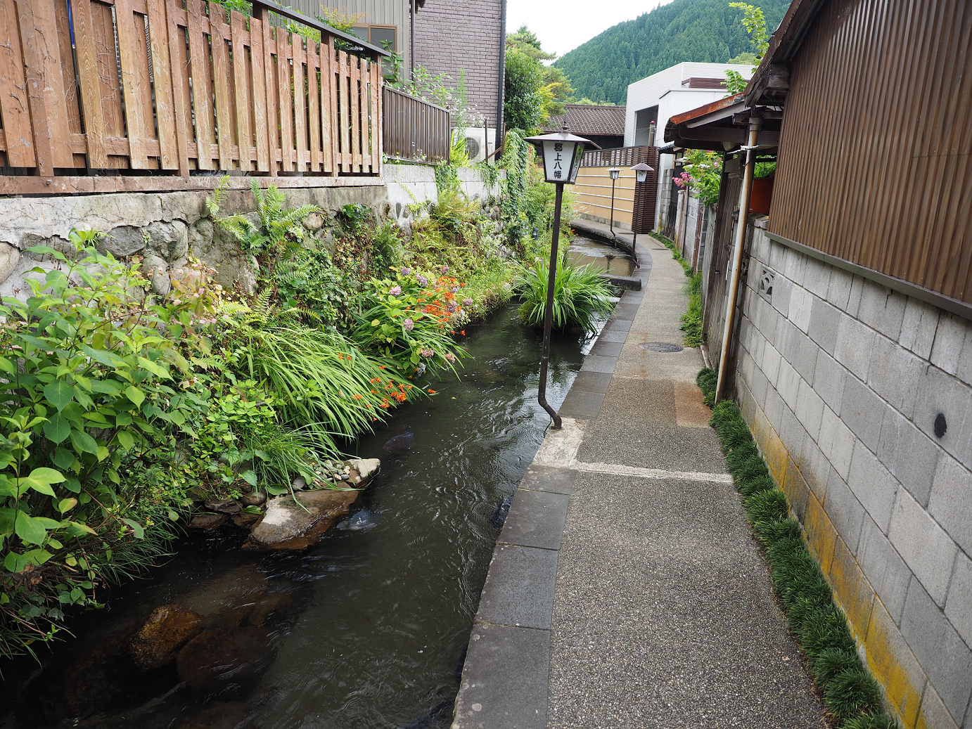 P7161160.jpg