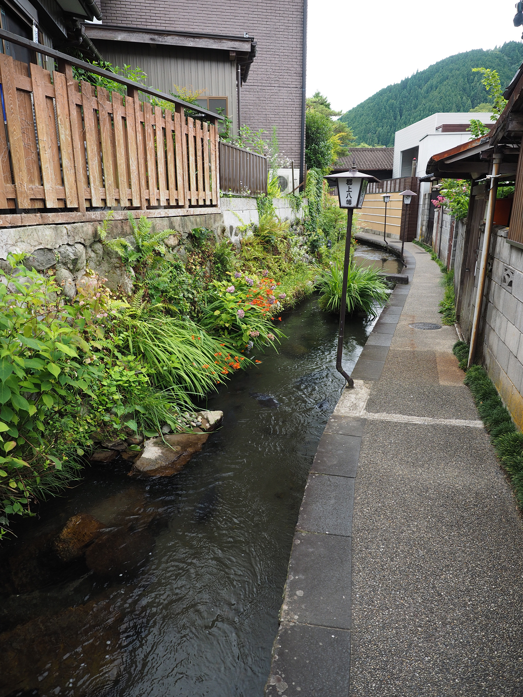 P7161161.jpg