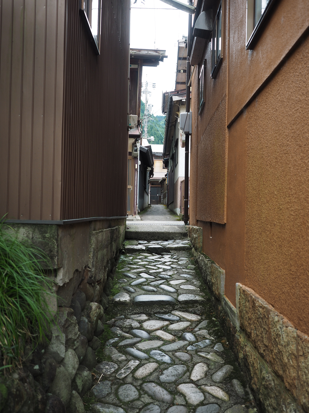 P7161167.jpg