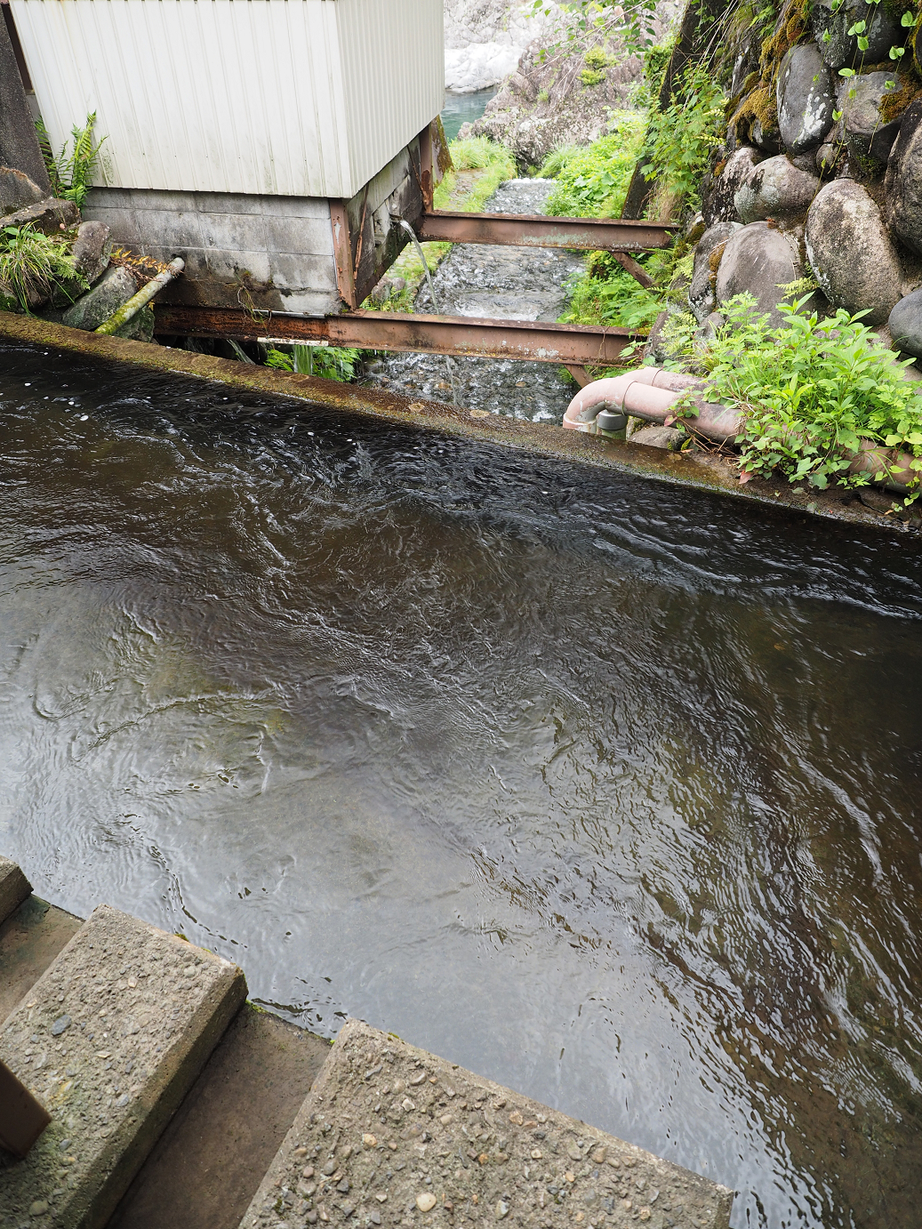 P7161171.jpg