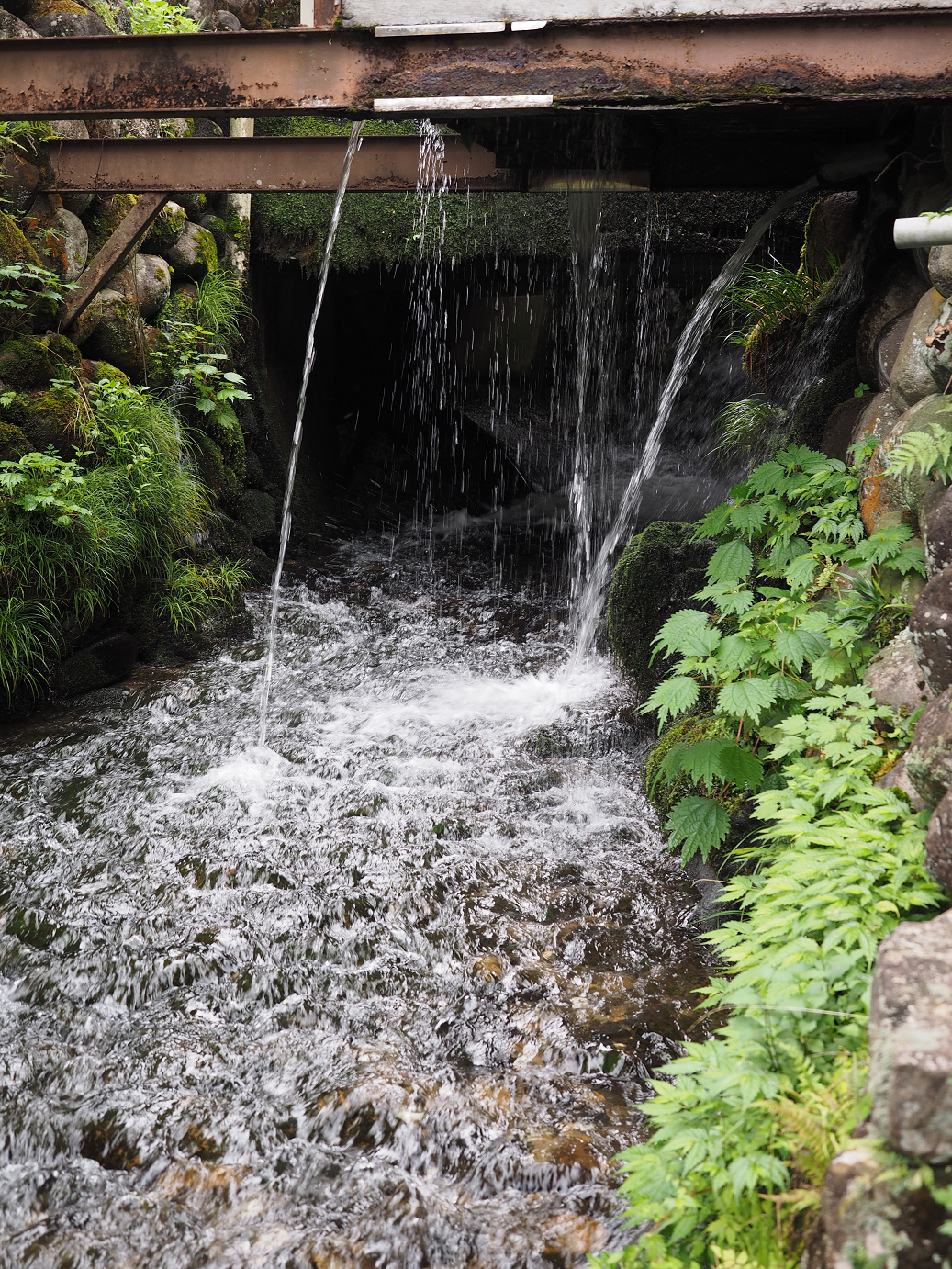 P7161177.jpg