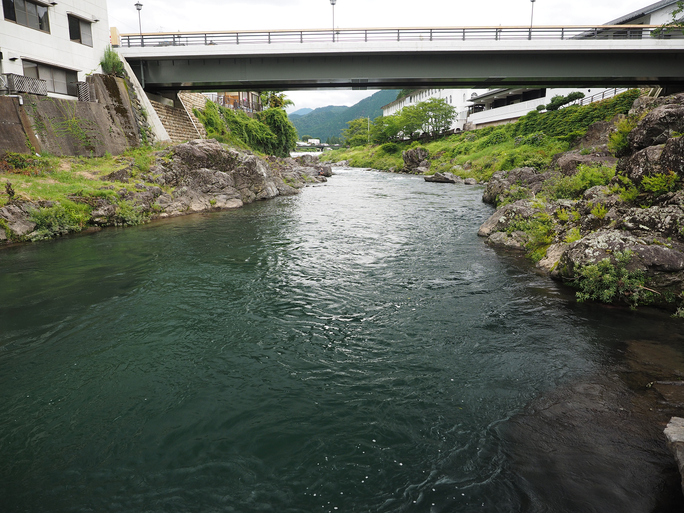 P7161189.jpg