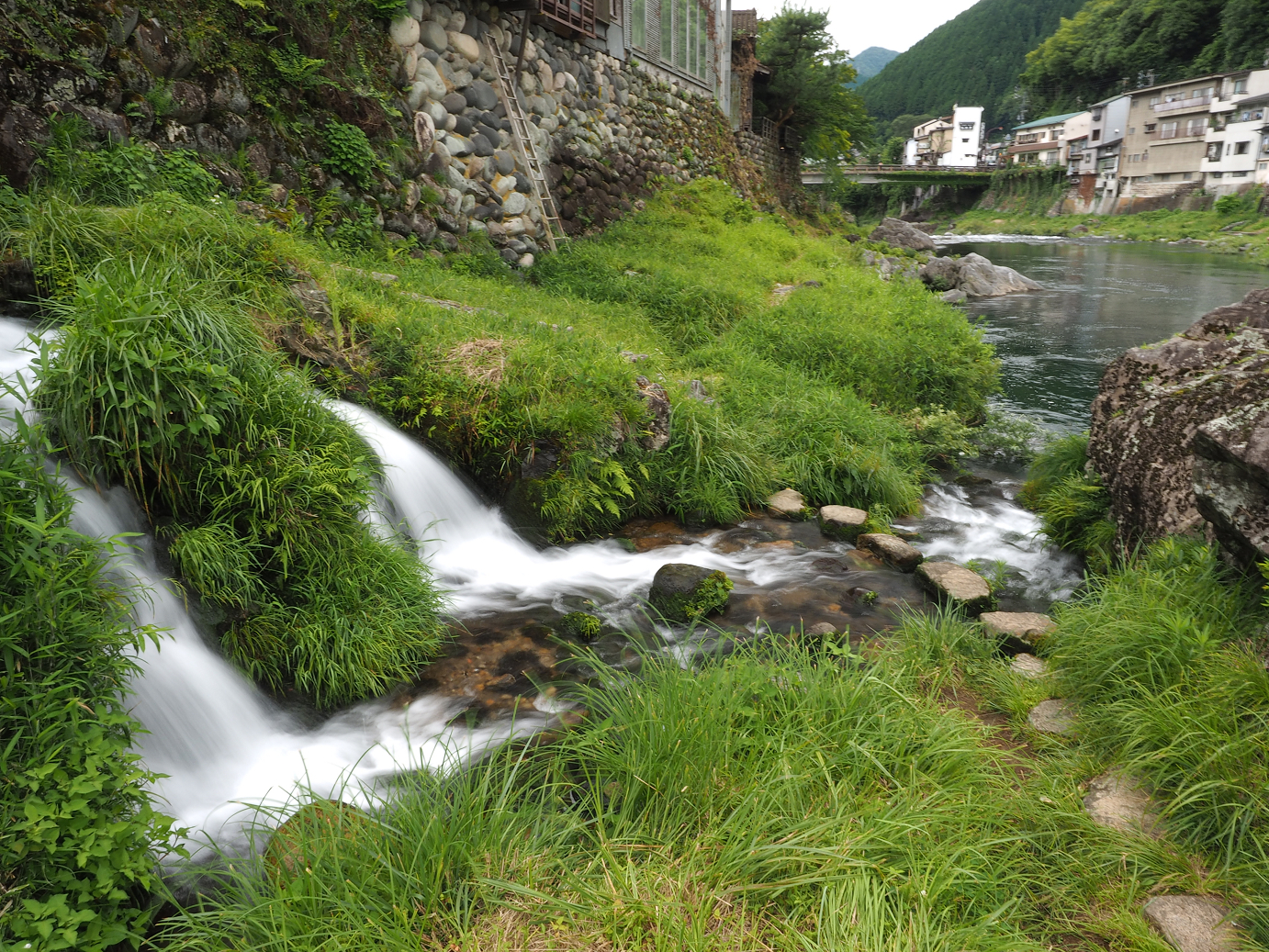 P7161193.jpg