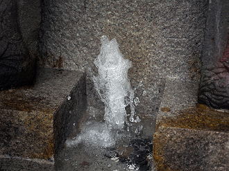 P7161232_thumb.png
