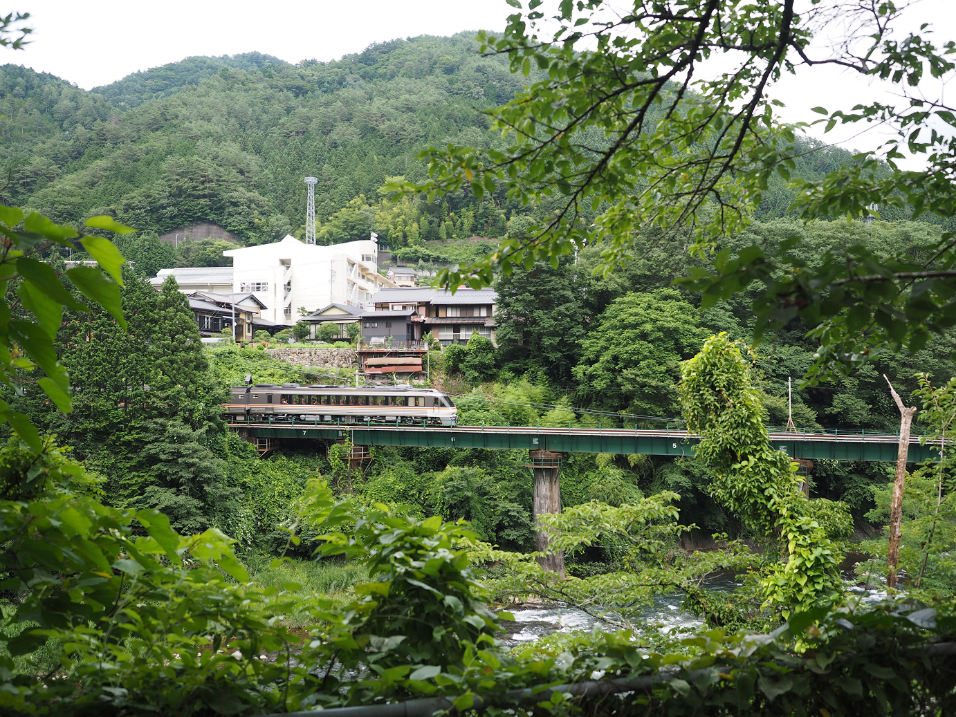 P7161238.jpg