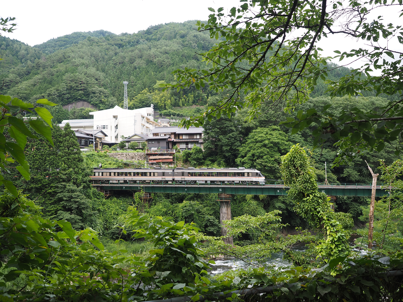 P7161239.jpg