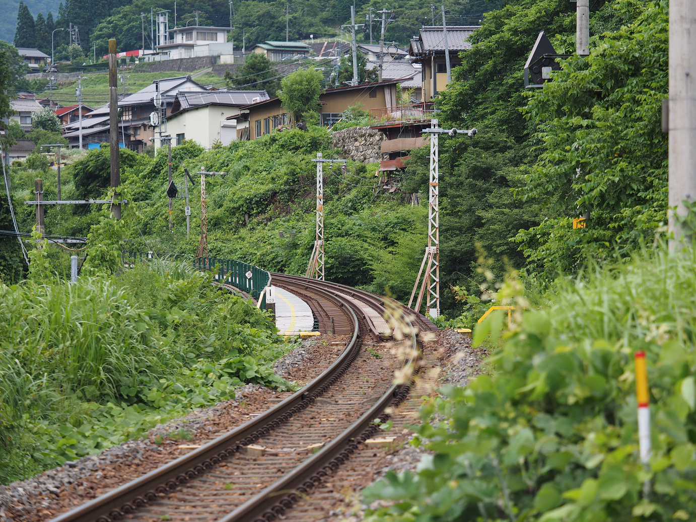 P7161255.jpg