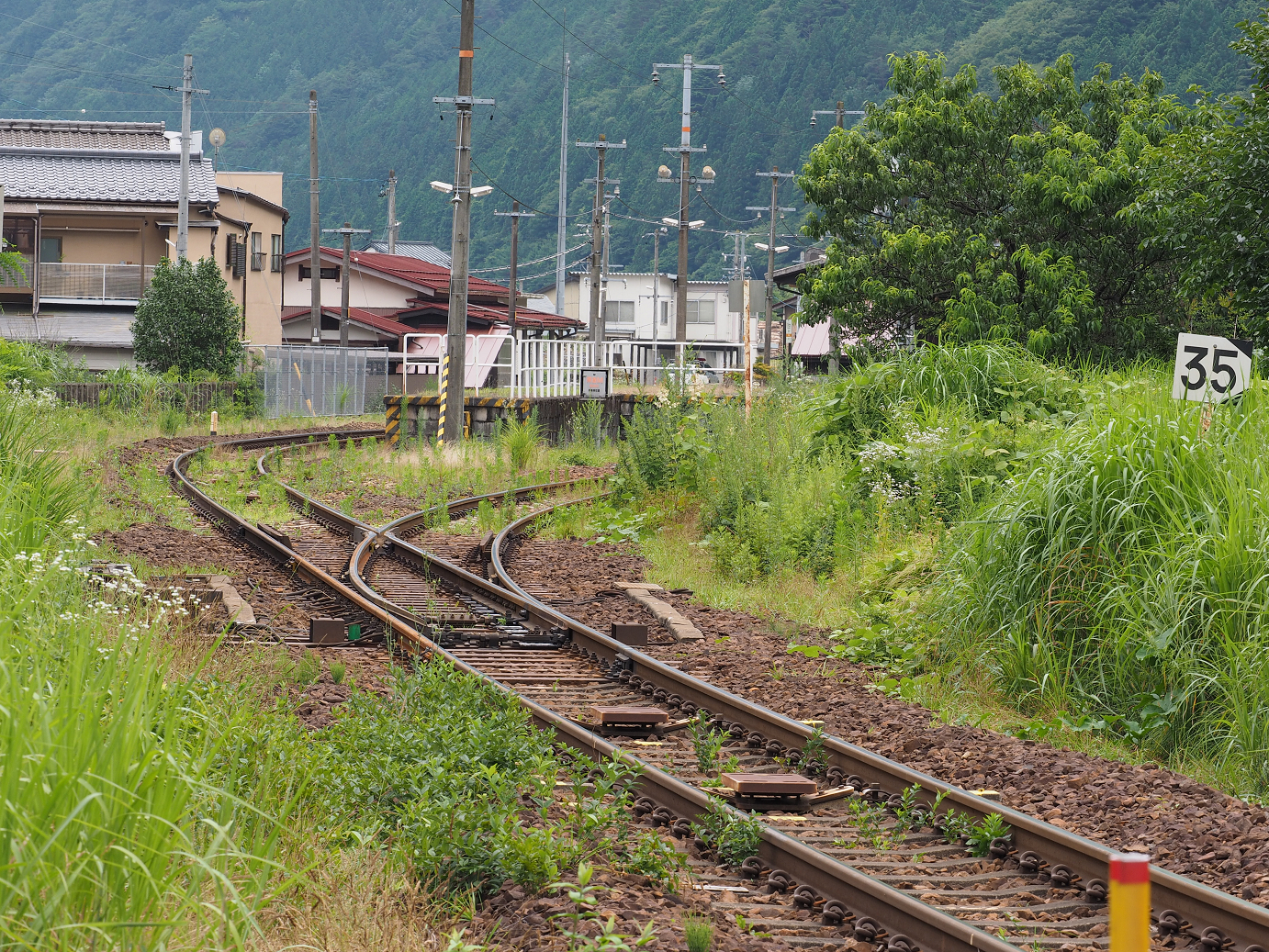 P7161312.jpg