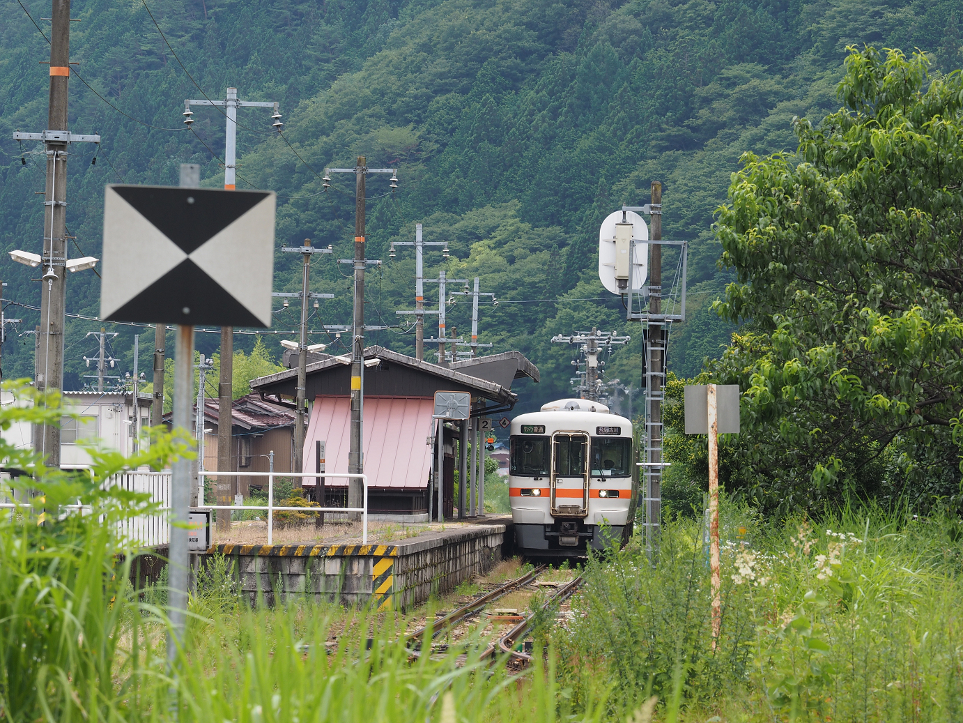 P7161333.jpg