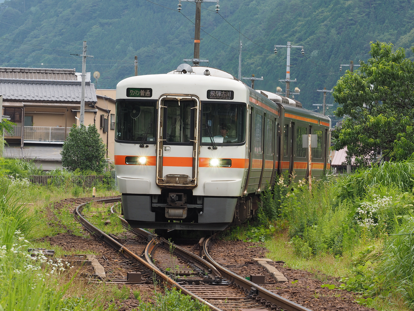 P7161372.jpg