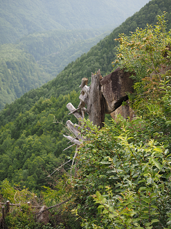 P7161412_thumb.png