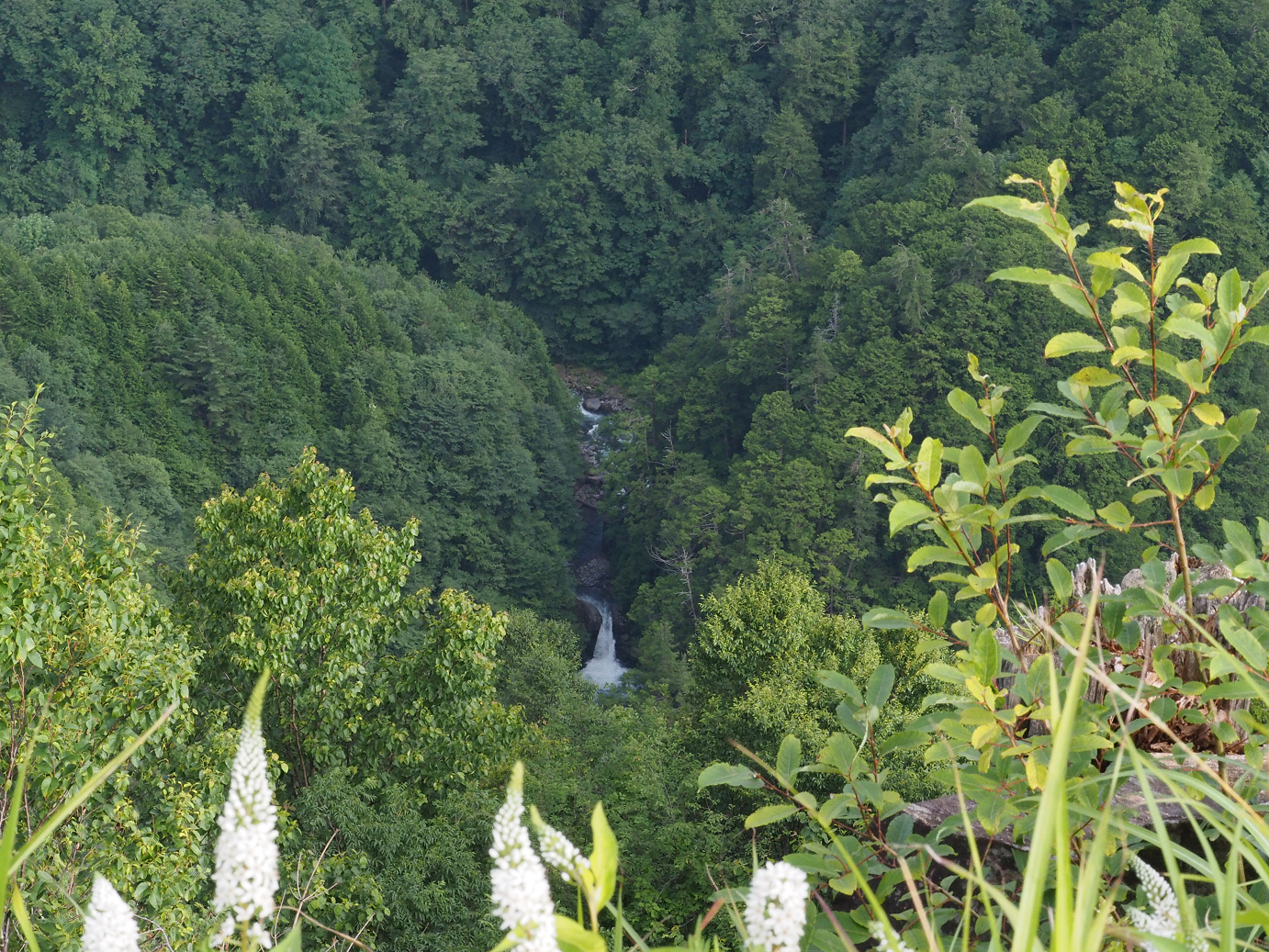 P7161429.jpg