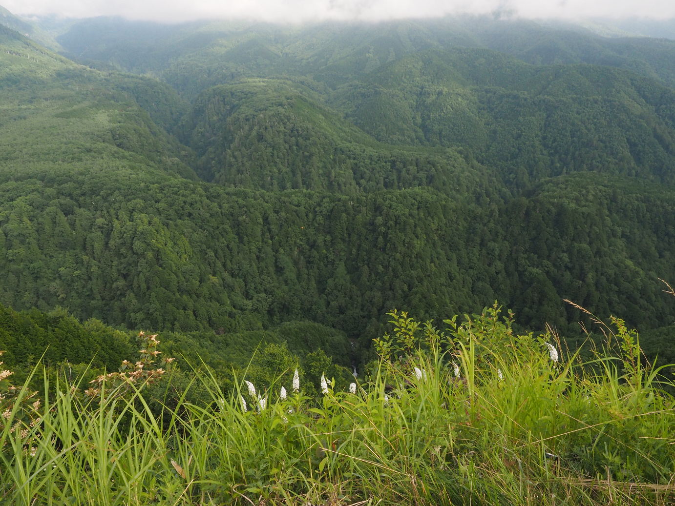 P7161431.jpg