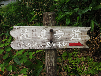 P7161470_thumb.png