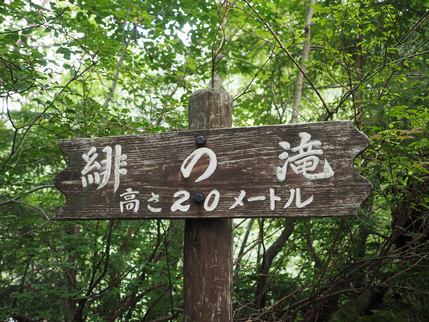 P7161493.jpg
