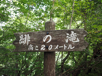 P7161493_thumb.png