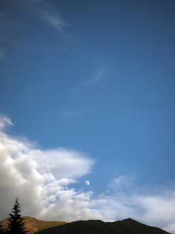 P7161496_thumb.png