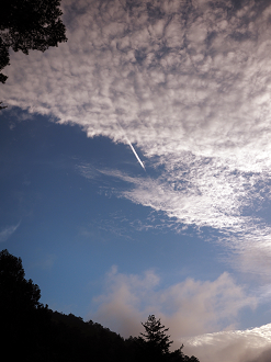 P7161498_thumb.png