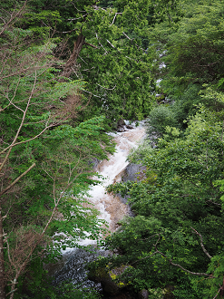 P7171510_thumb.png