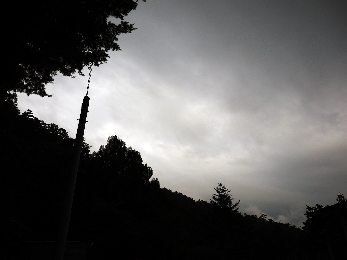 P7171512.jpg