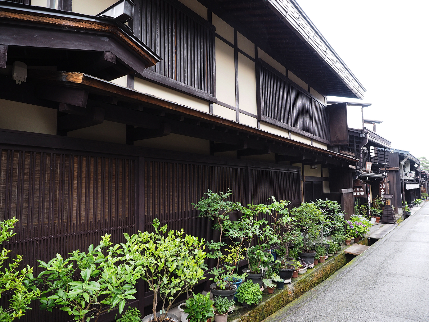 P7171520.jpg