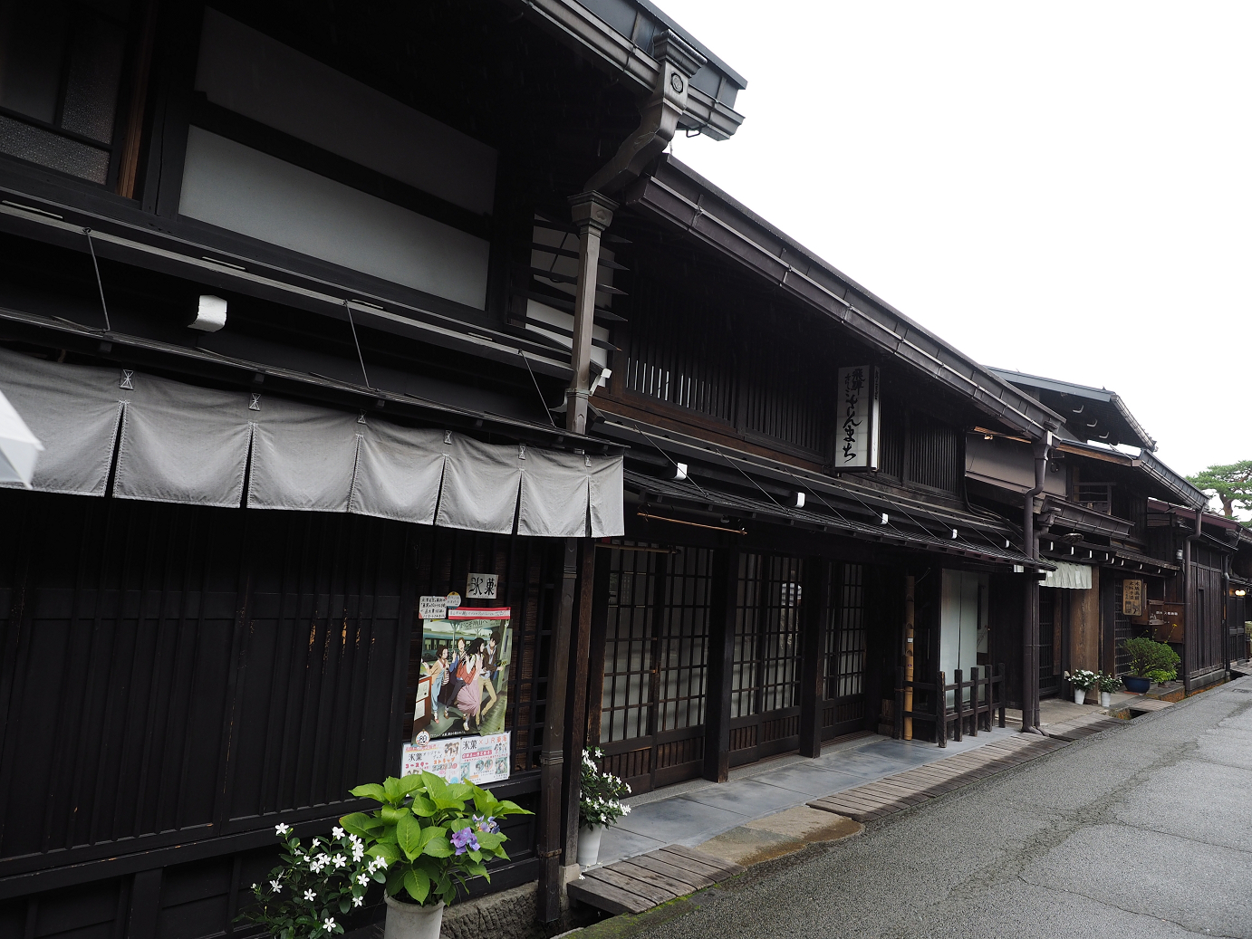 P7171532.jpg