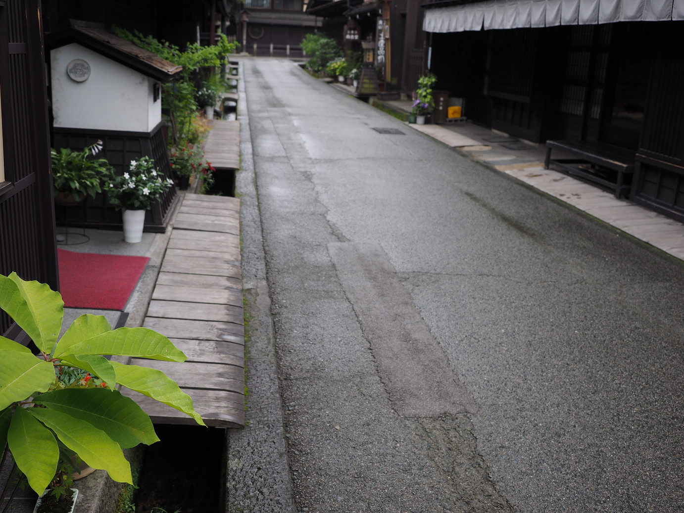P7171538.jpg