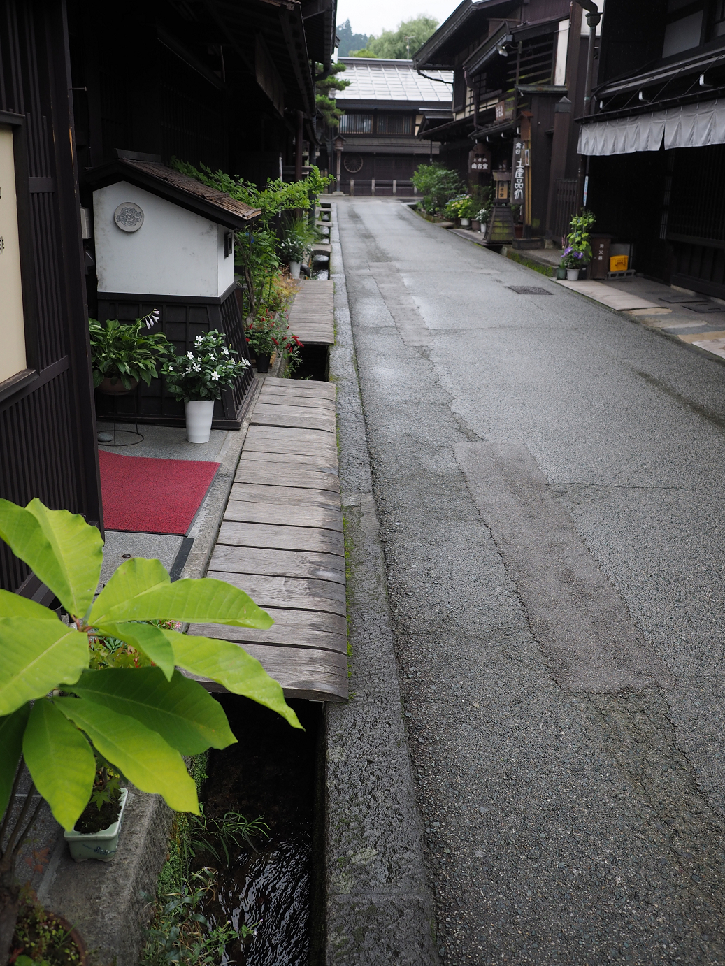 P7171539.jpg