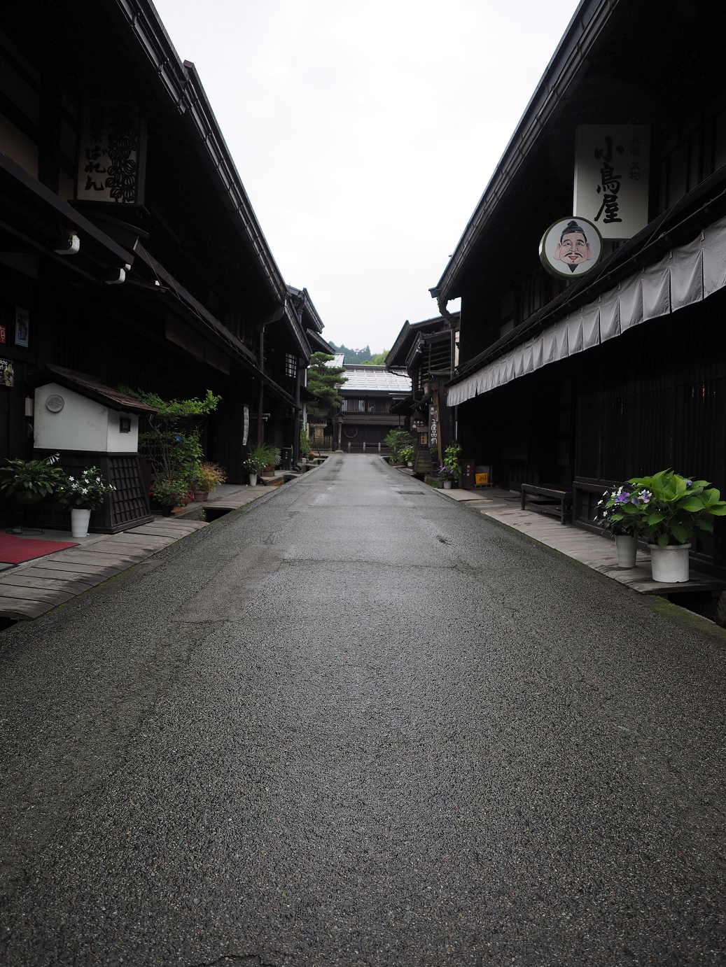 P7171541.jpg
