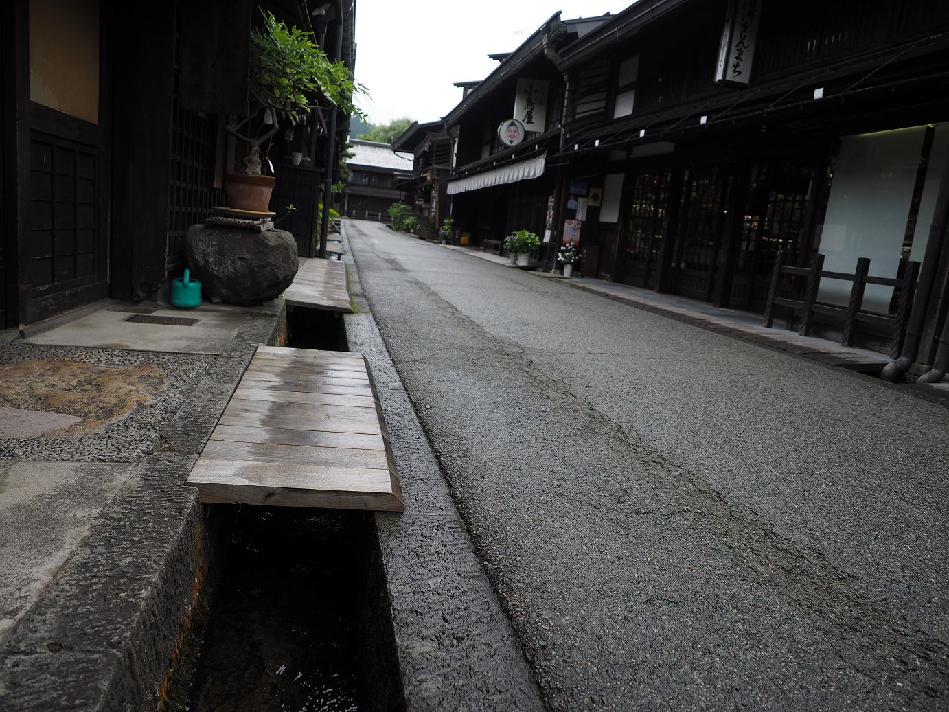 P7171550.jpg