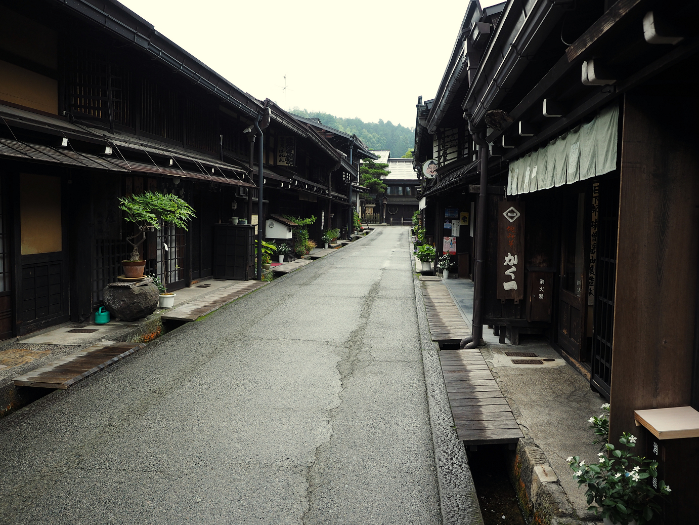 P7171554.jpg
