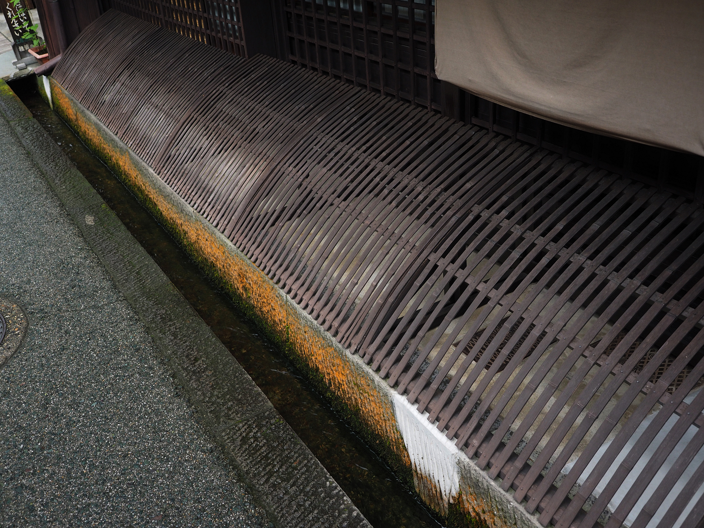 P7171565.jpg