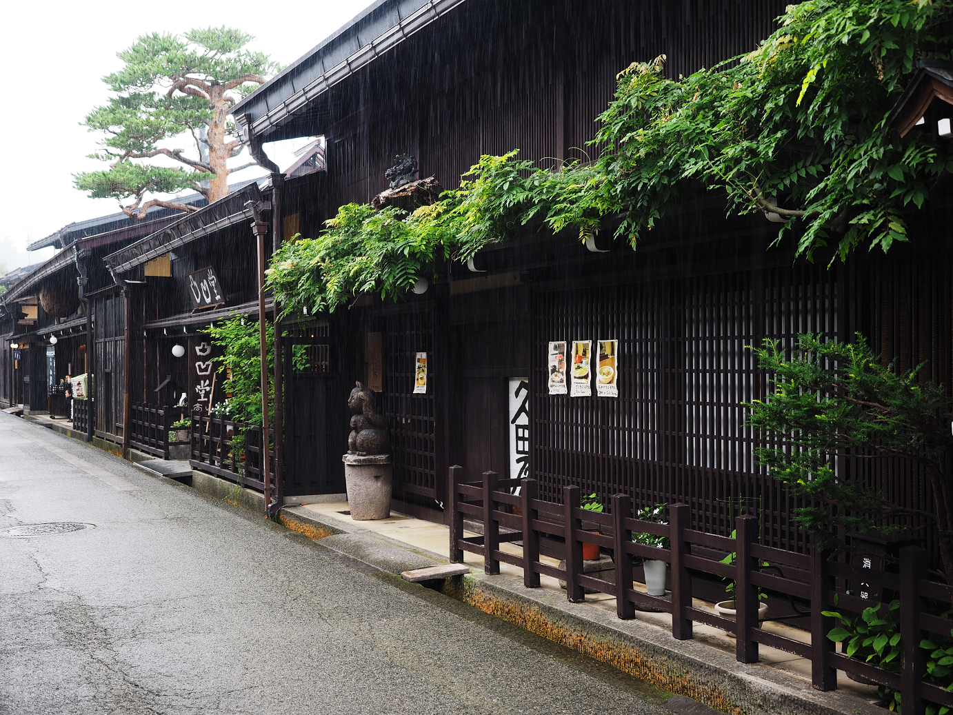 P7171573.jpg