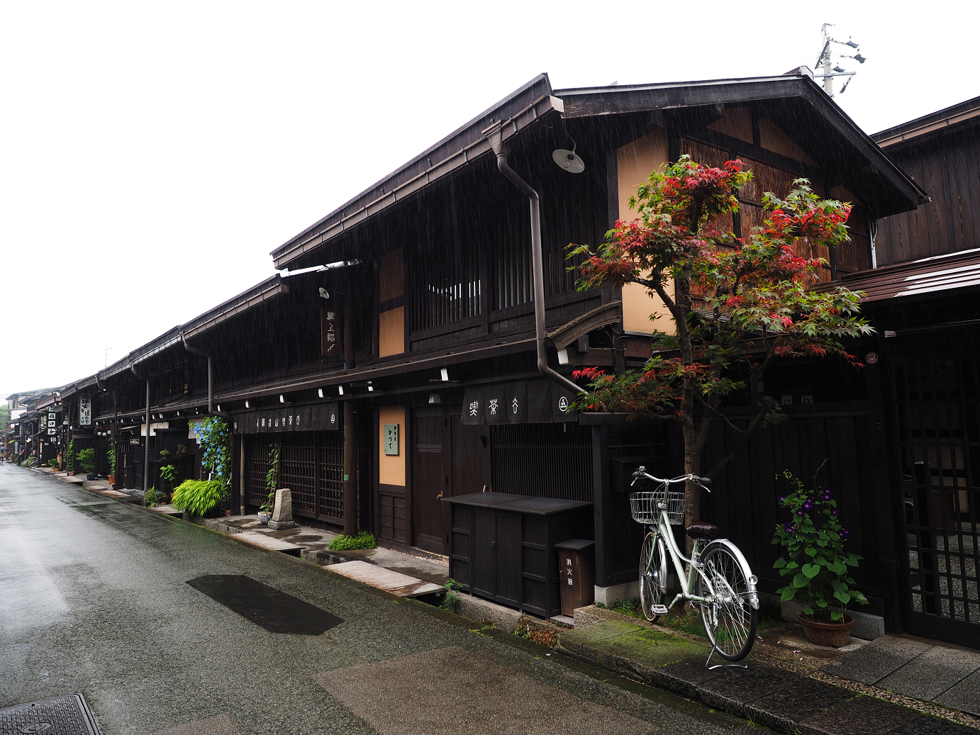 P7171579.jpg