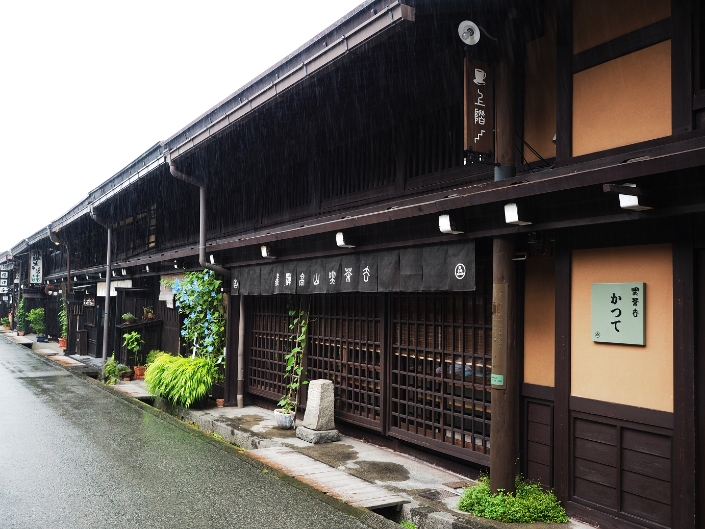 P7171580.jpg