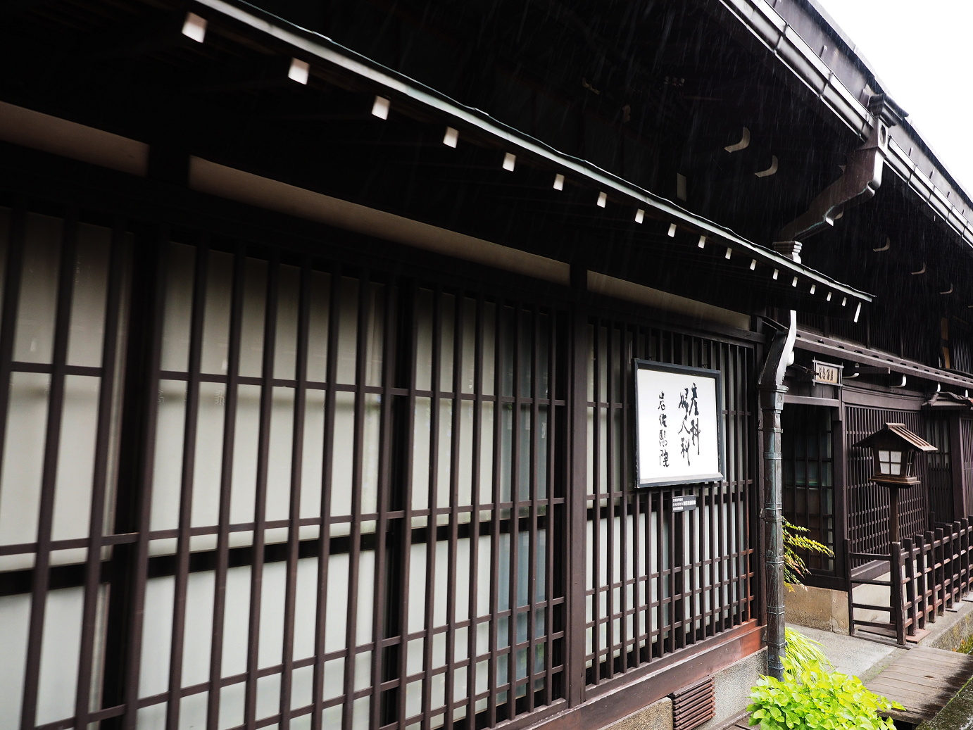 P7171581.jpg