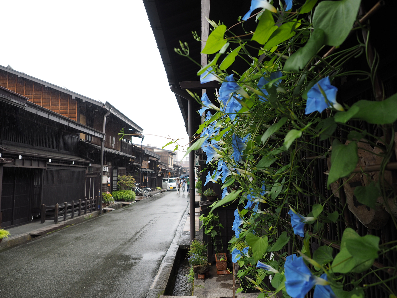 P7171586.jpg