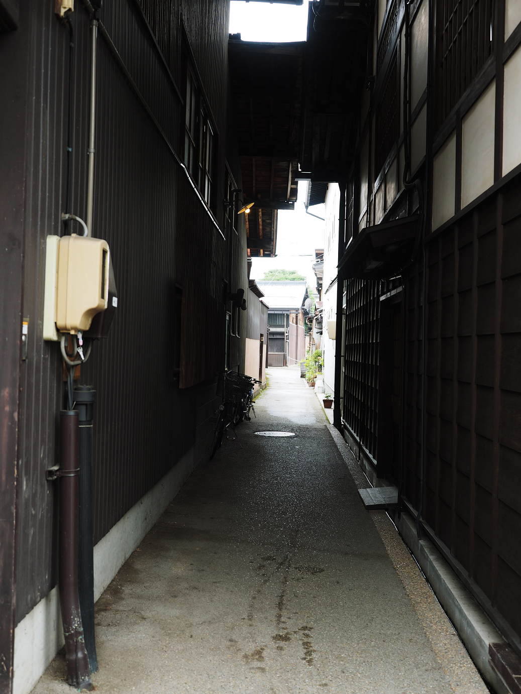 P7171632.jpg