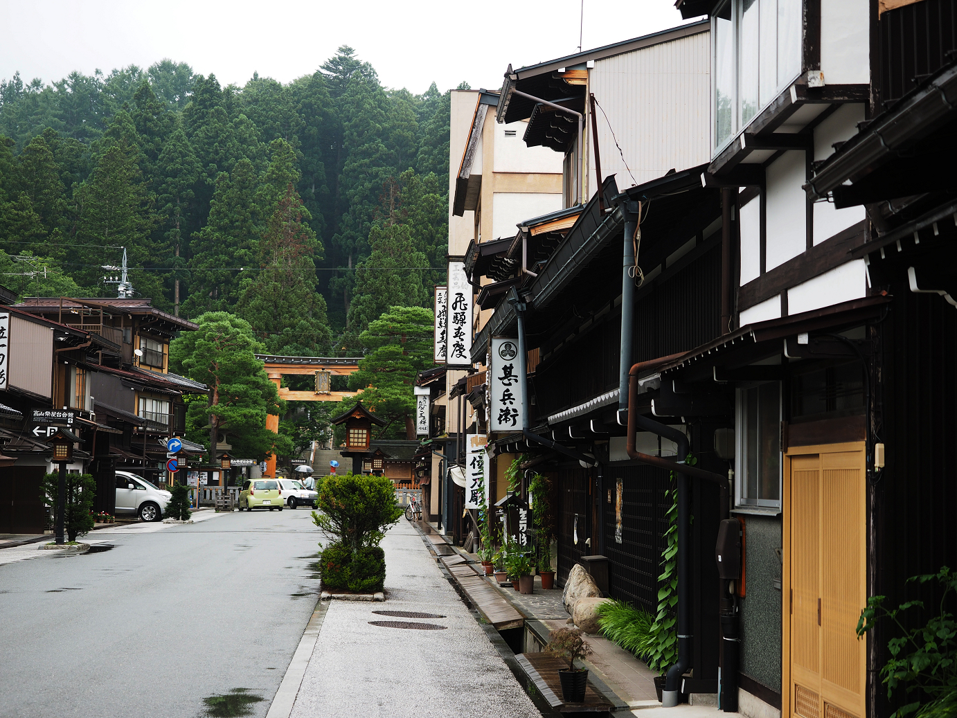 P7171651.jpg