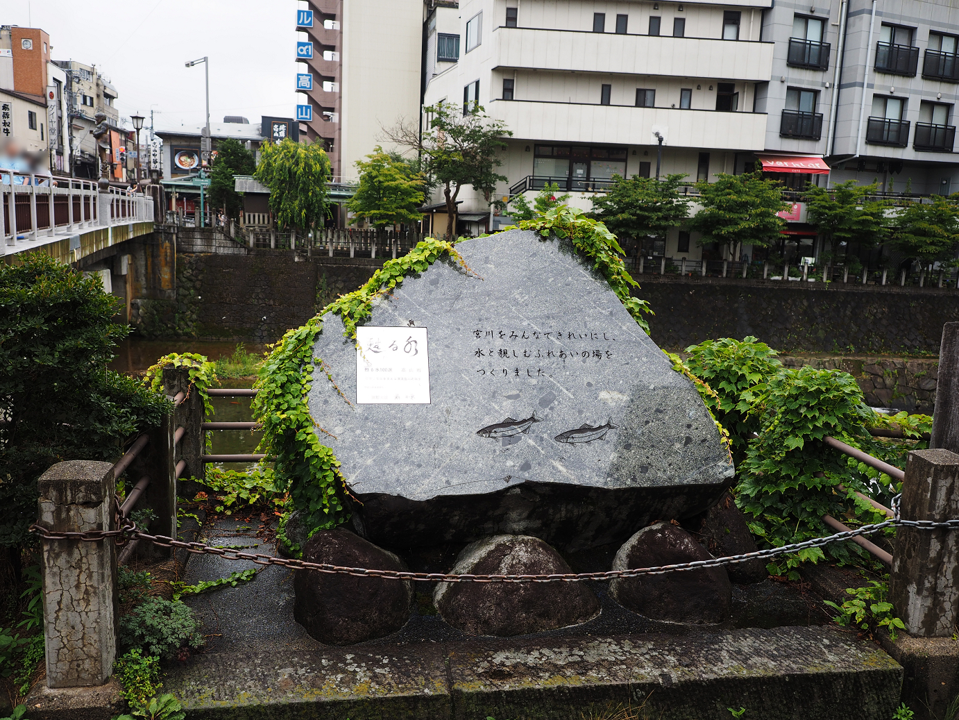 P7171683.jpg
