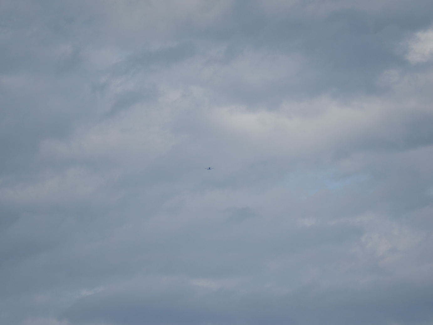 P7171857.jpg