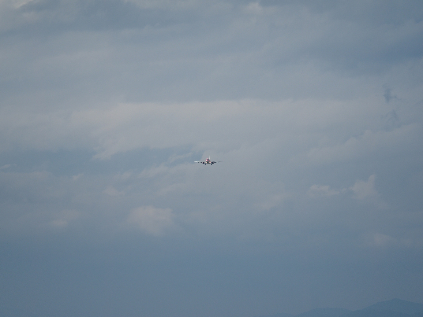P7171877.jpg