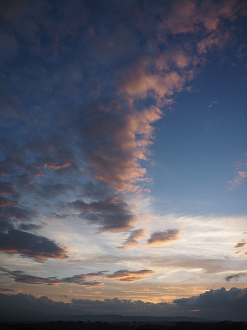 P7172139_thumb.png