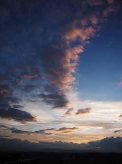 P7172140_thumb.png