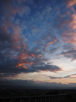 P7172141_thumb.png
