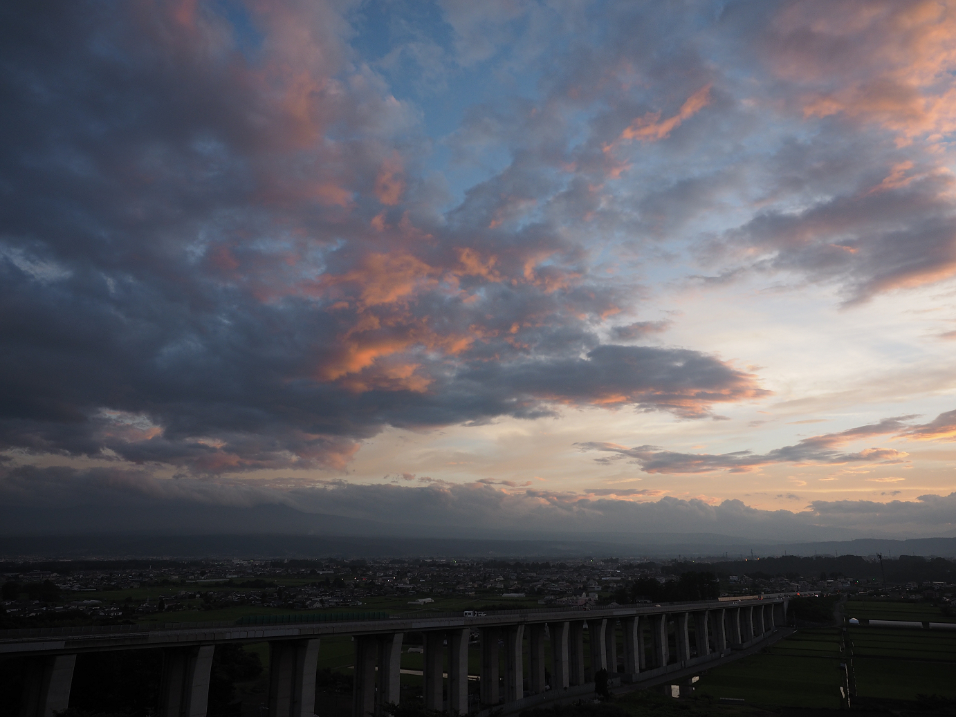 P7172142.jpg